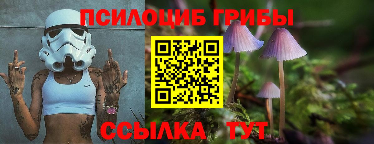 Псилоцибиновые грибы GOLDEN TEACHER  Псилоцибиновые грибы Psilocybe  Вход с VPN  Ленинск-Кузнецкий 